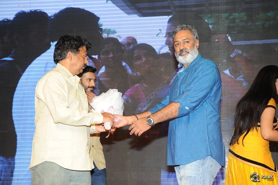 Hora-Hori-Movie-Audio-Launch